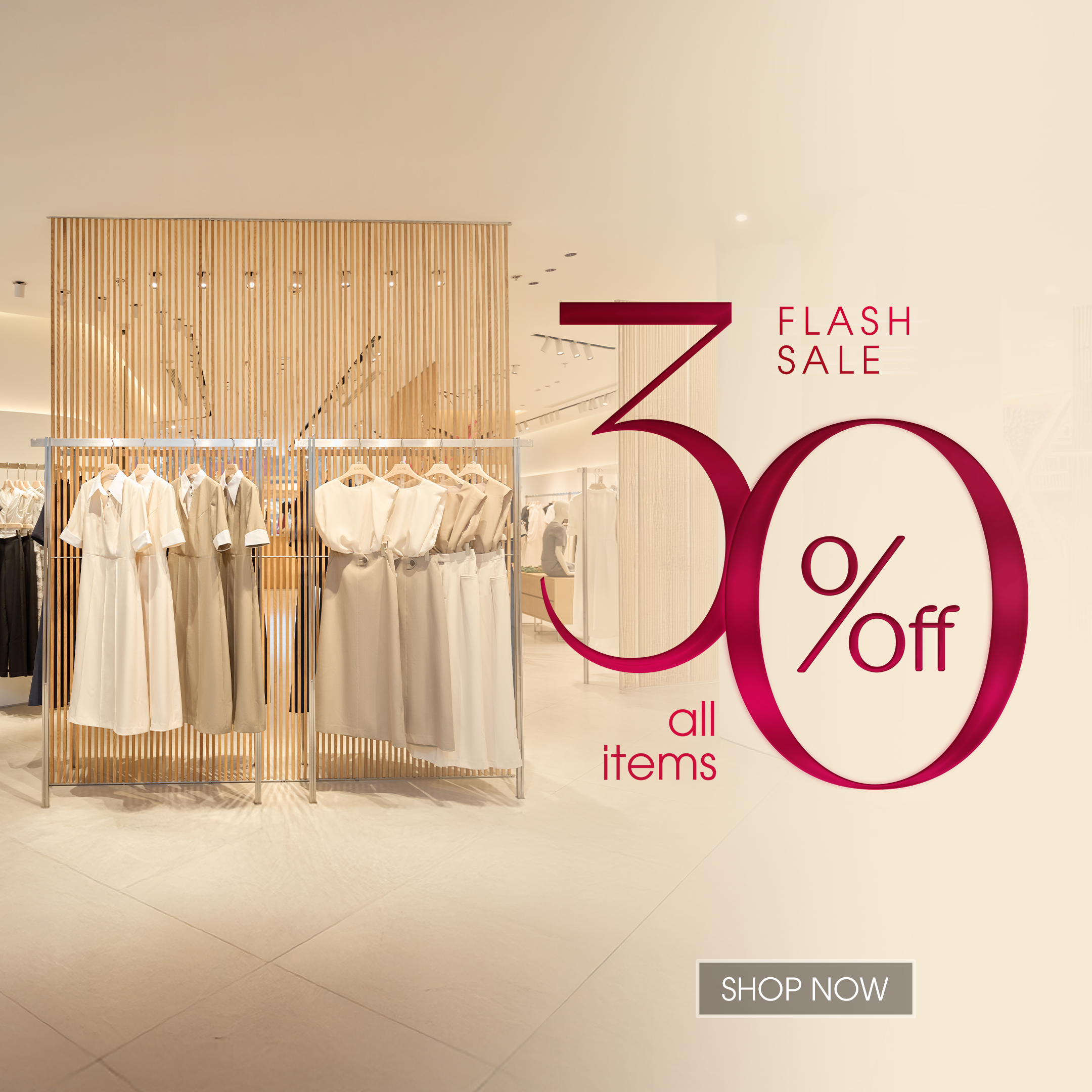 POPUP - FLASH SALE 30%